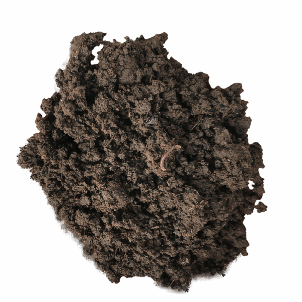 Worm Castings