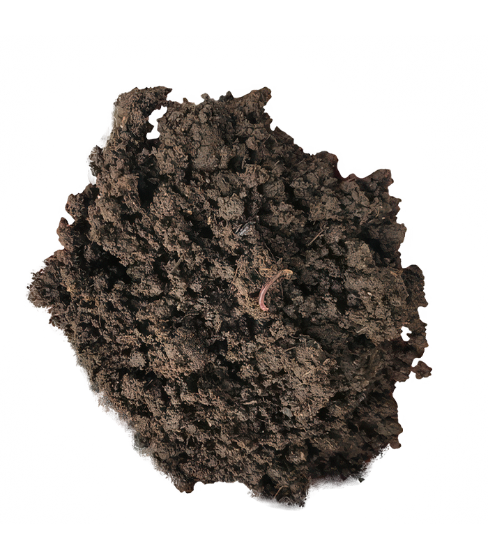 Worm Castings